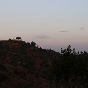 Meet your Posher, Pearla